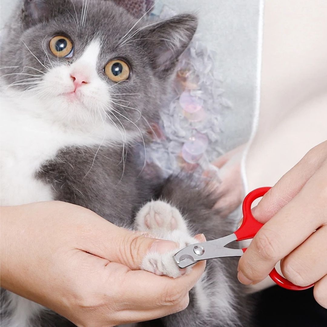 Cat Nail Clippers - Claw Trimming Cutter for All Ages Feline Care