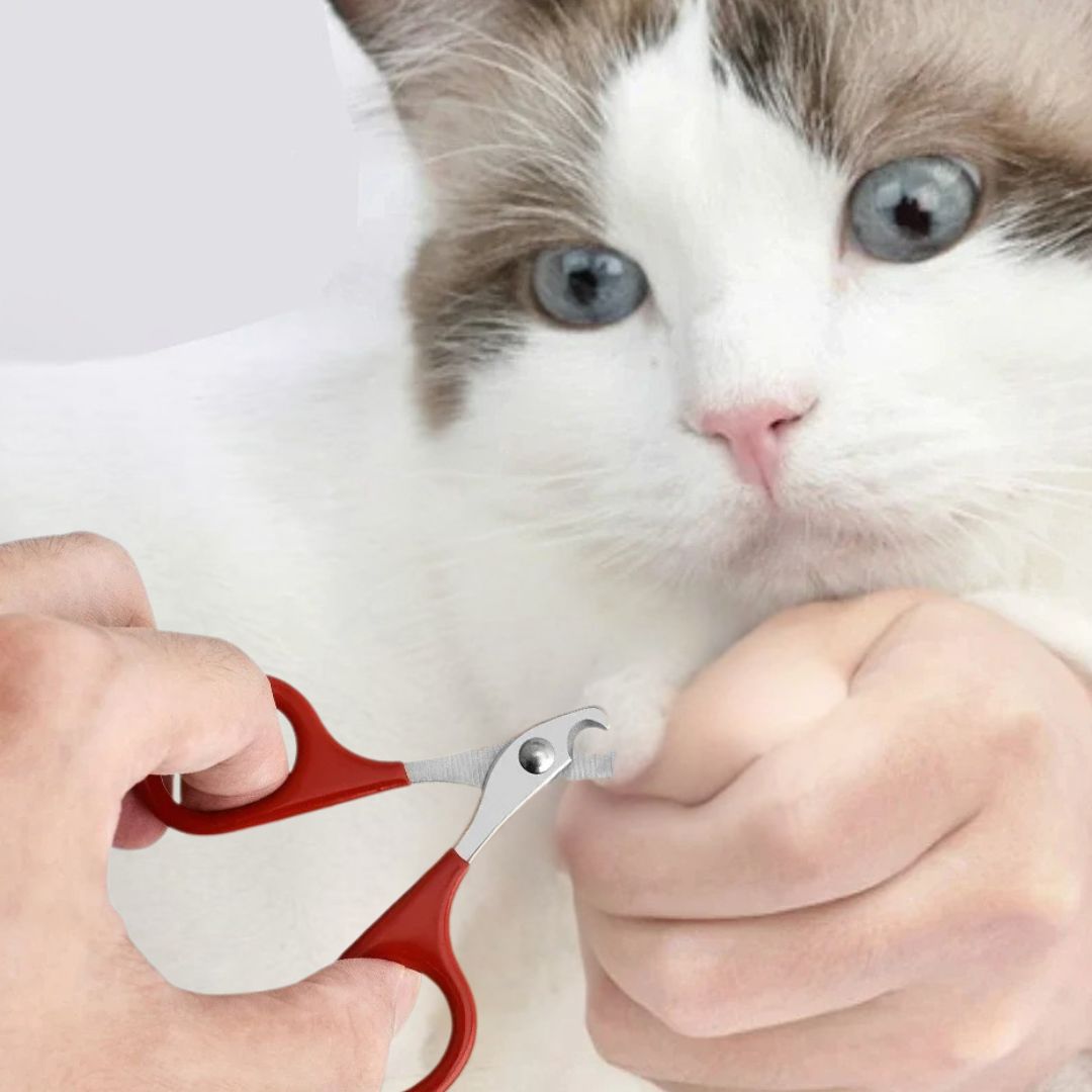 Cat Nail Clippers - Claw Trimming Cutter for All Ages Feline Care