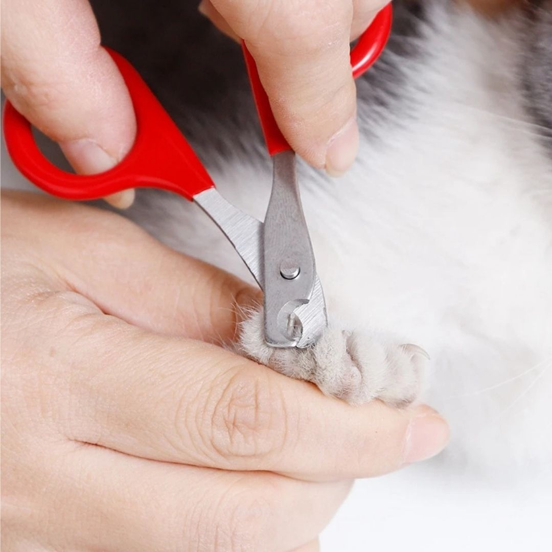 Cat Nail Clippers - Claw Trimming Cutter for All Ages Feline Care