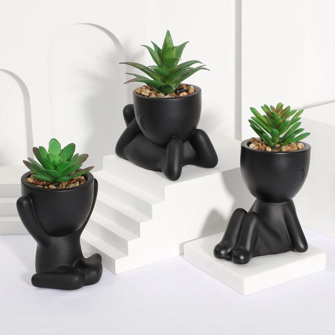 Durable Small pot plants