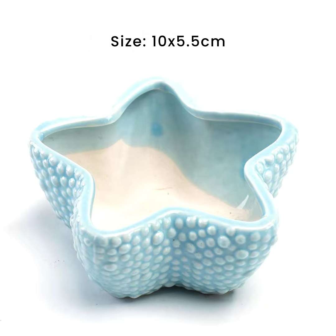 Succulent Pots - Unique Ocean-Inspired Fish, Snail, and Starfish Shaped Planters for Small Cactus and Flowers