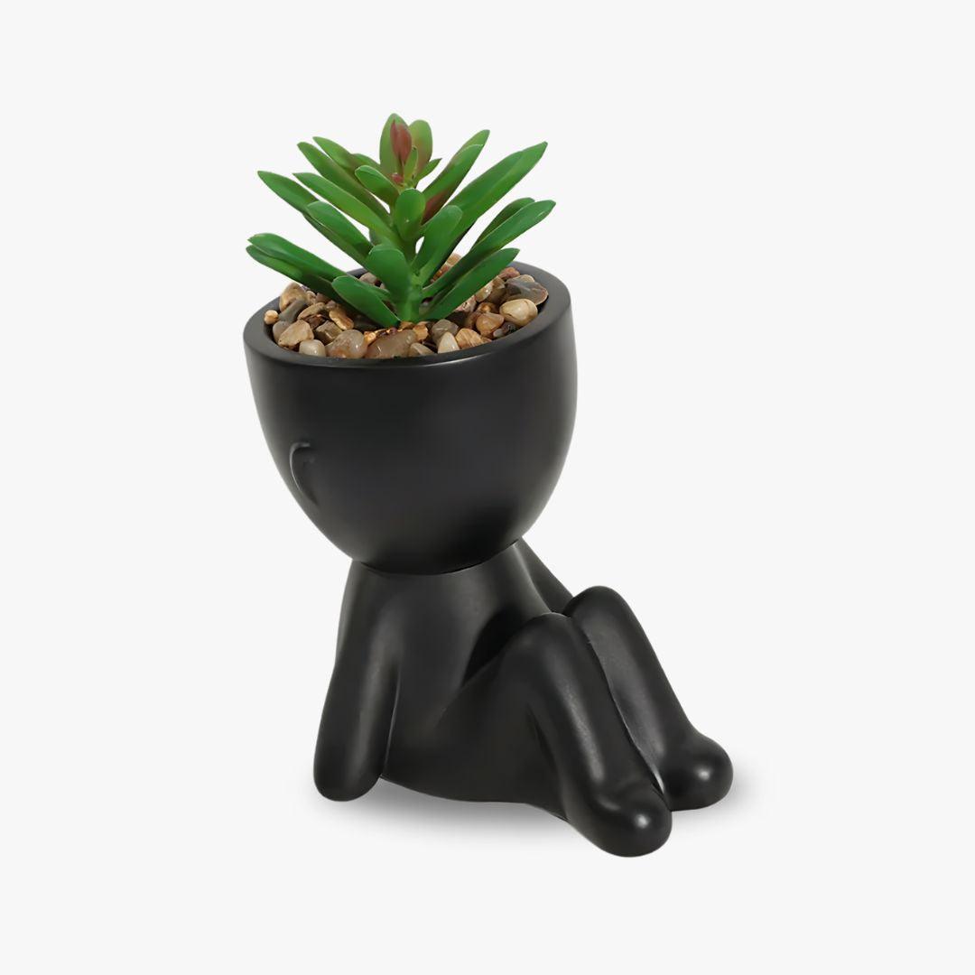 Small Pot Plants