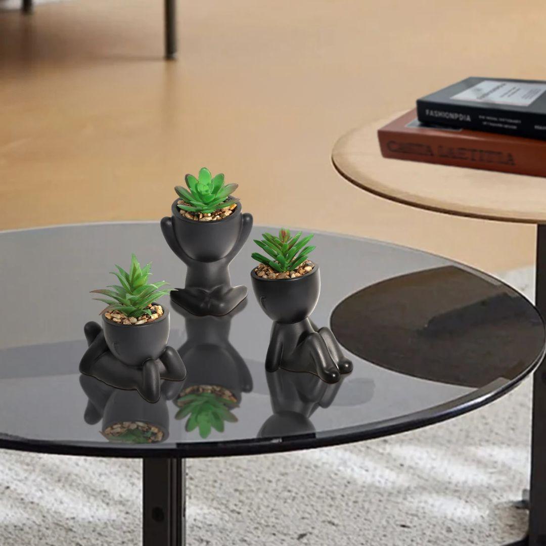 Small pot plants for decor