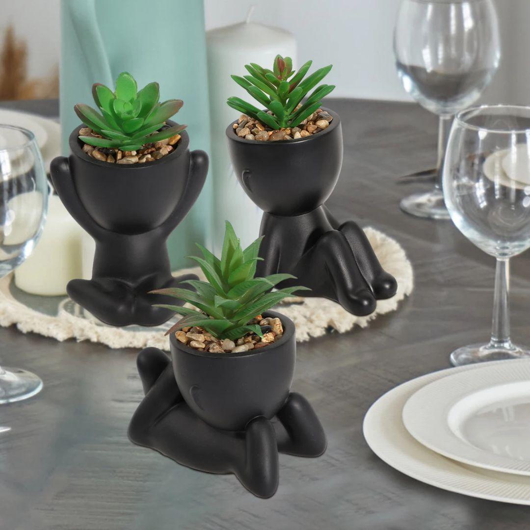 Small pot plants for dining