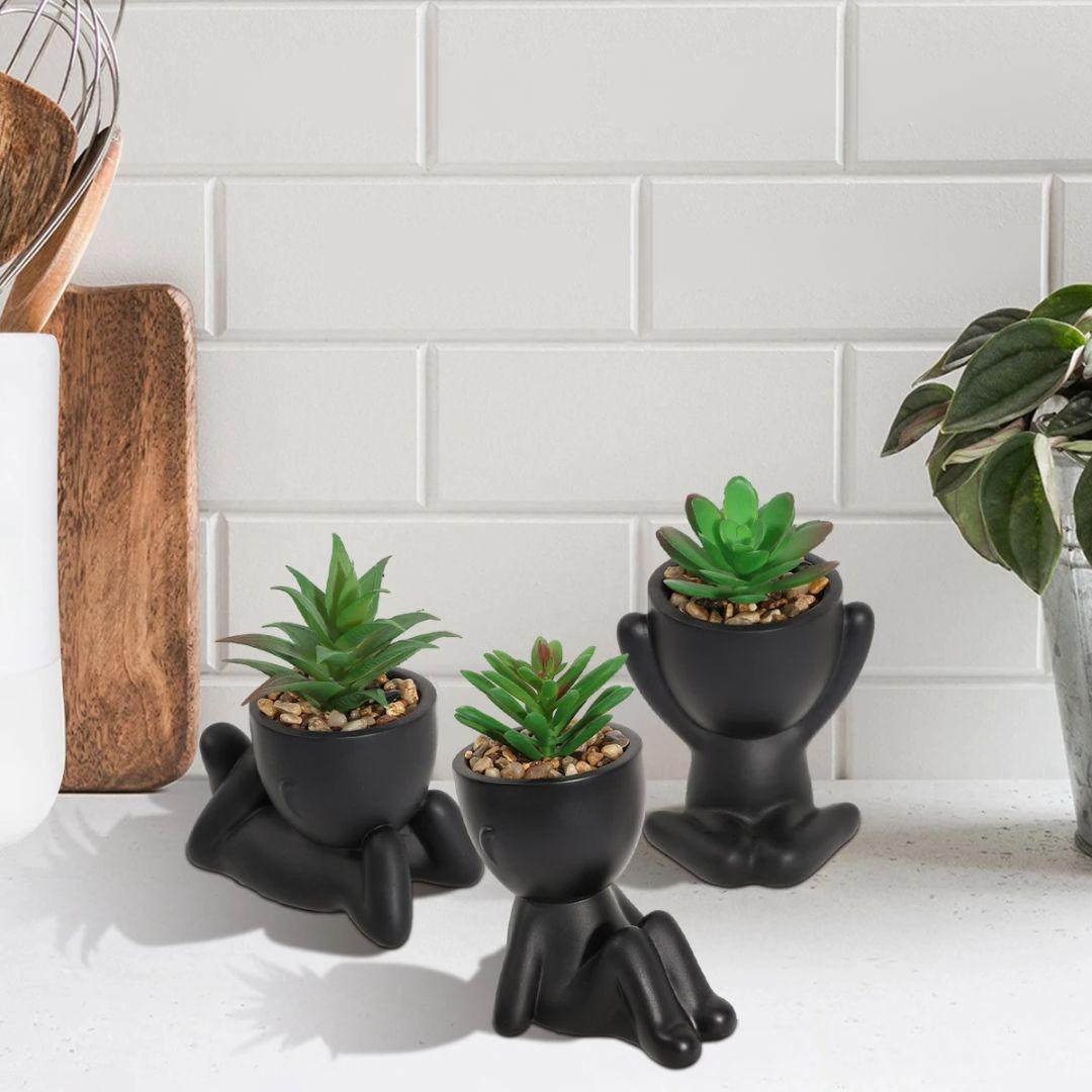Small pot plants for kitchen