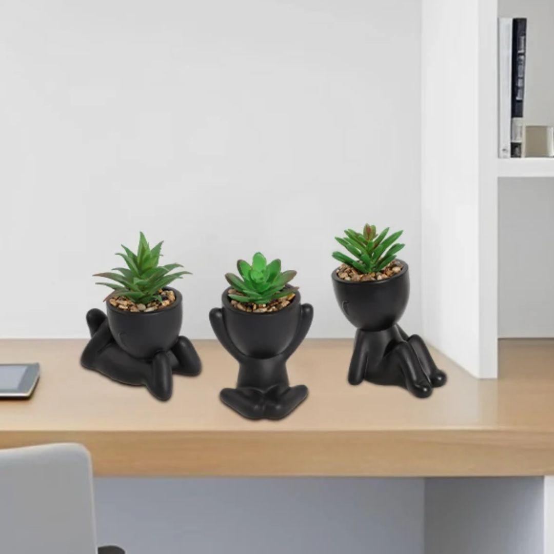 Small pot plants for office