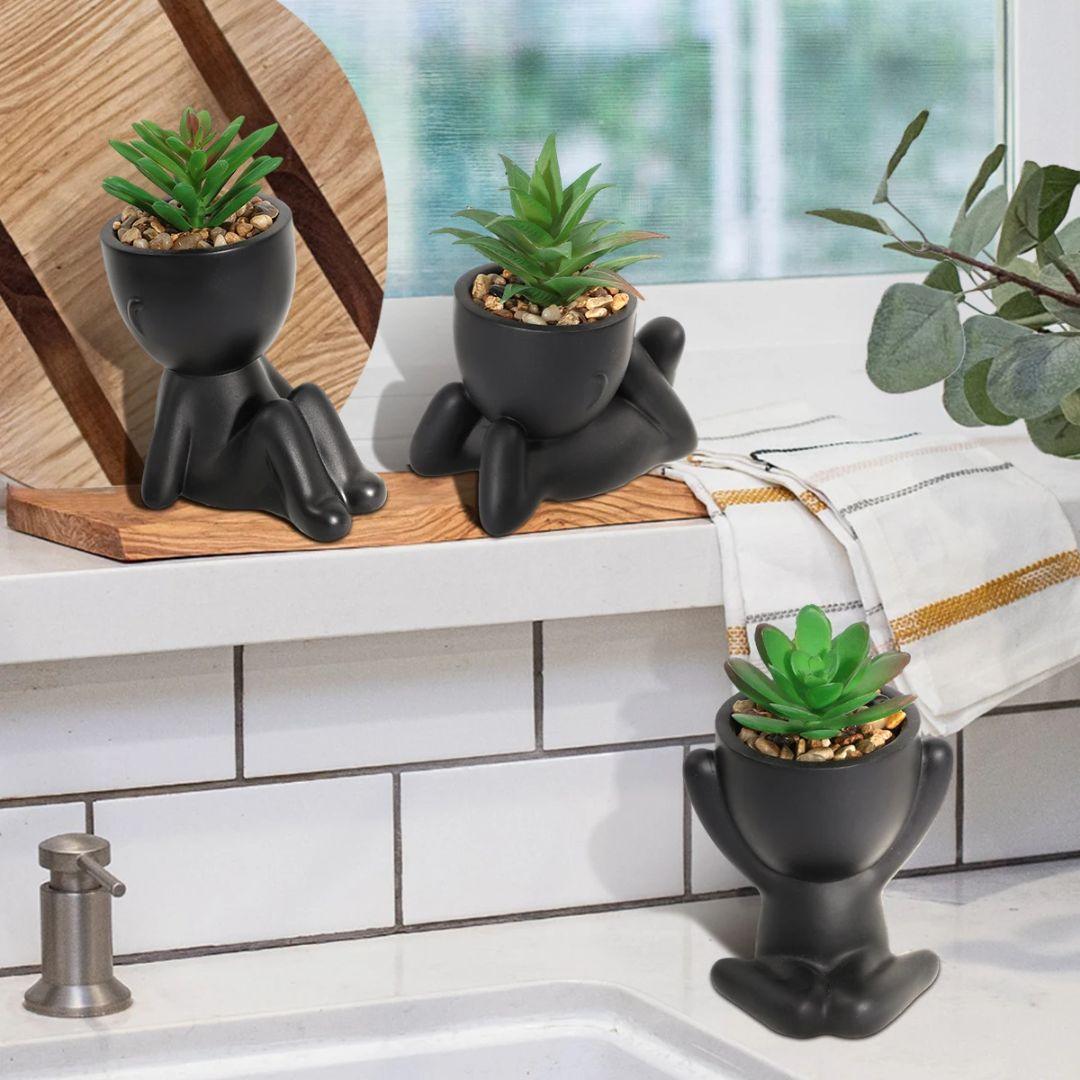 Small pot plants for washroom