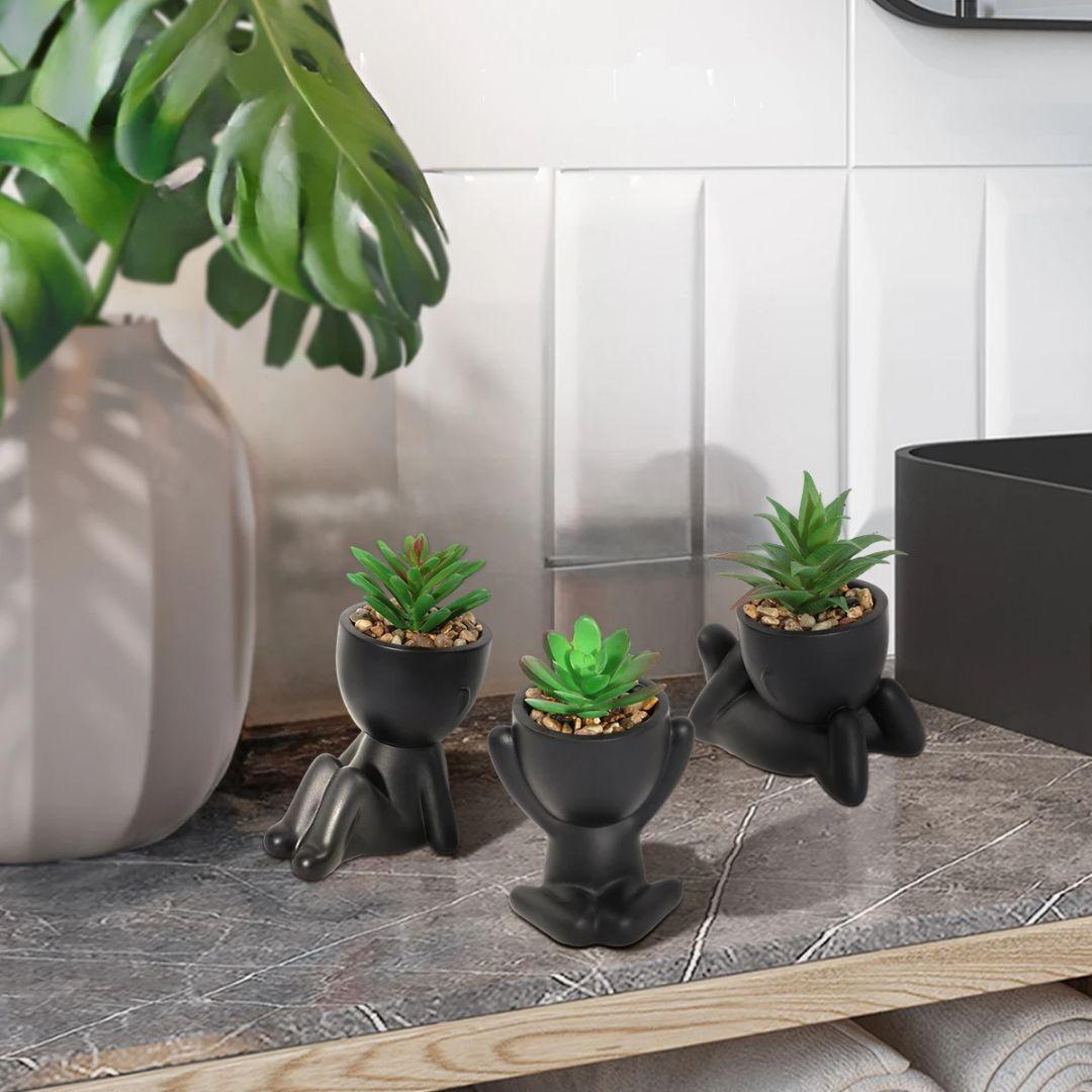 Small pot plants in table