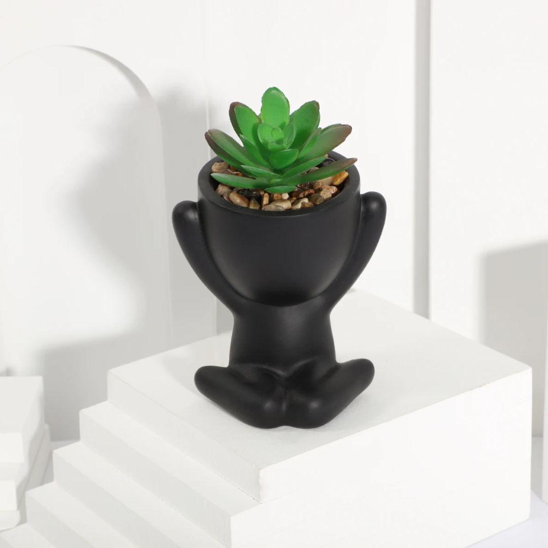 Small pot plants shape B