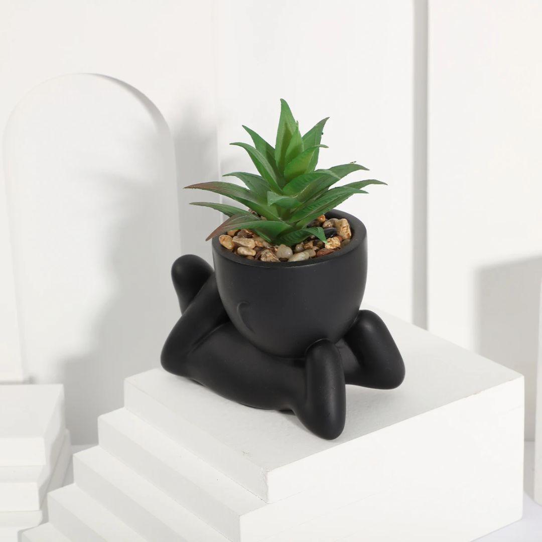 Small pot plants shape C