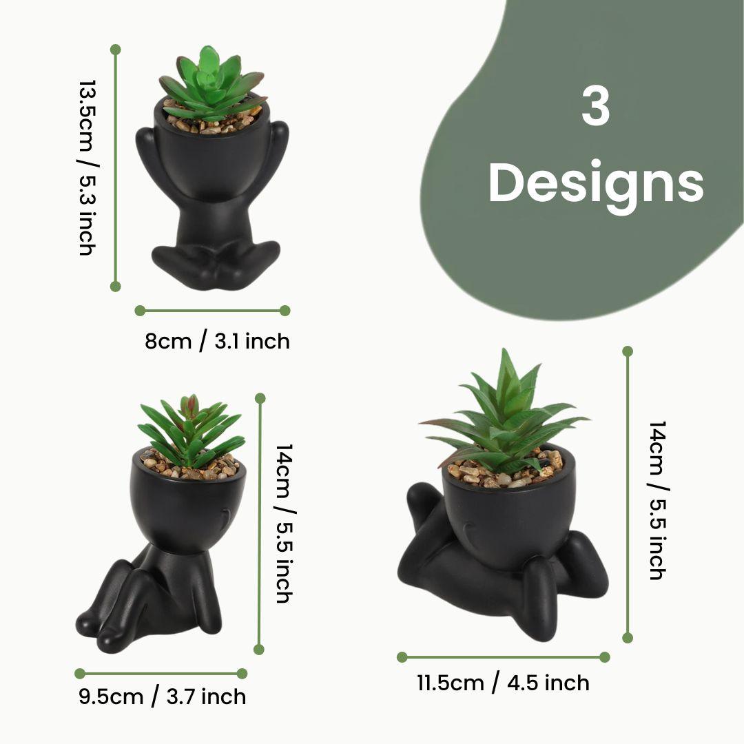 Small pot plants size