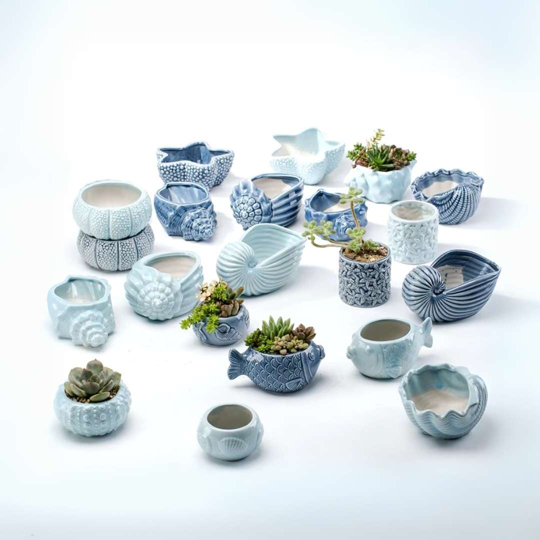 Succulent Pots - Unique Ocean-Inspired Fish, Snail, and Starfish Shaped Planters for Small Cactus and Flowers