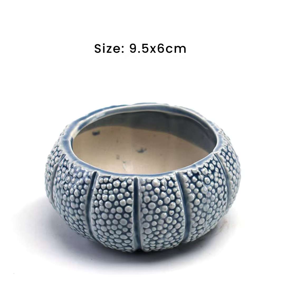 Succulent Pots - Unique Ocean-Inspired Fish, Snail, and Starfish Shaped Planters for Small Cactus and Flowers