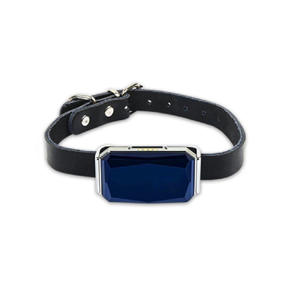 GPS Wireless Dog Fence System
