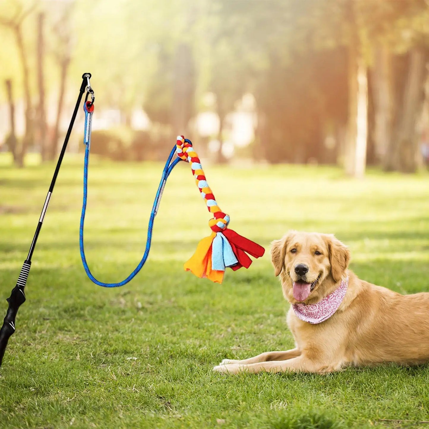 Interactive Outdoor Tether Tug Toy for All Dogs