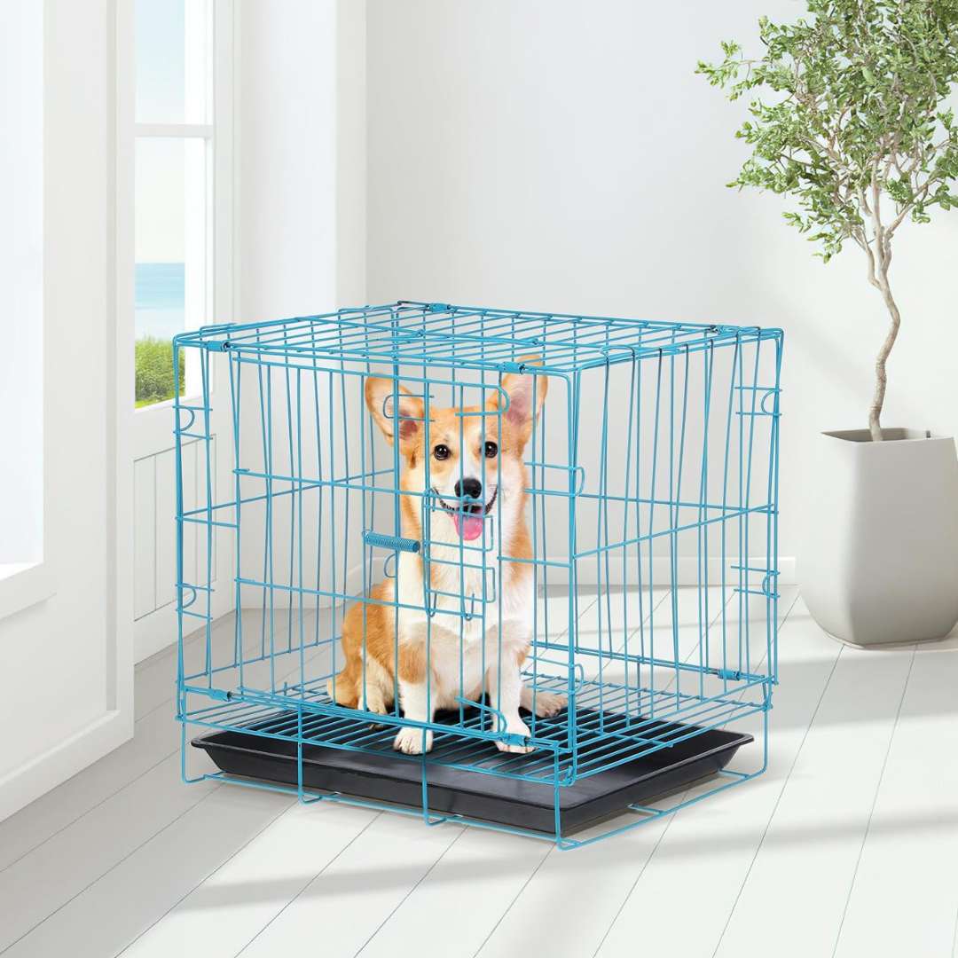 Small Dog Crate - Portable Folding Travel Cage with Divider, Removable Tray, and Handle for Puppies