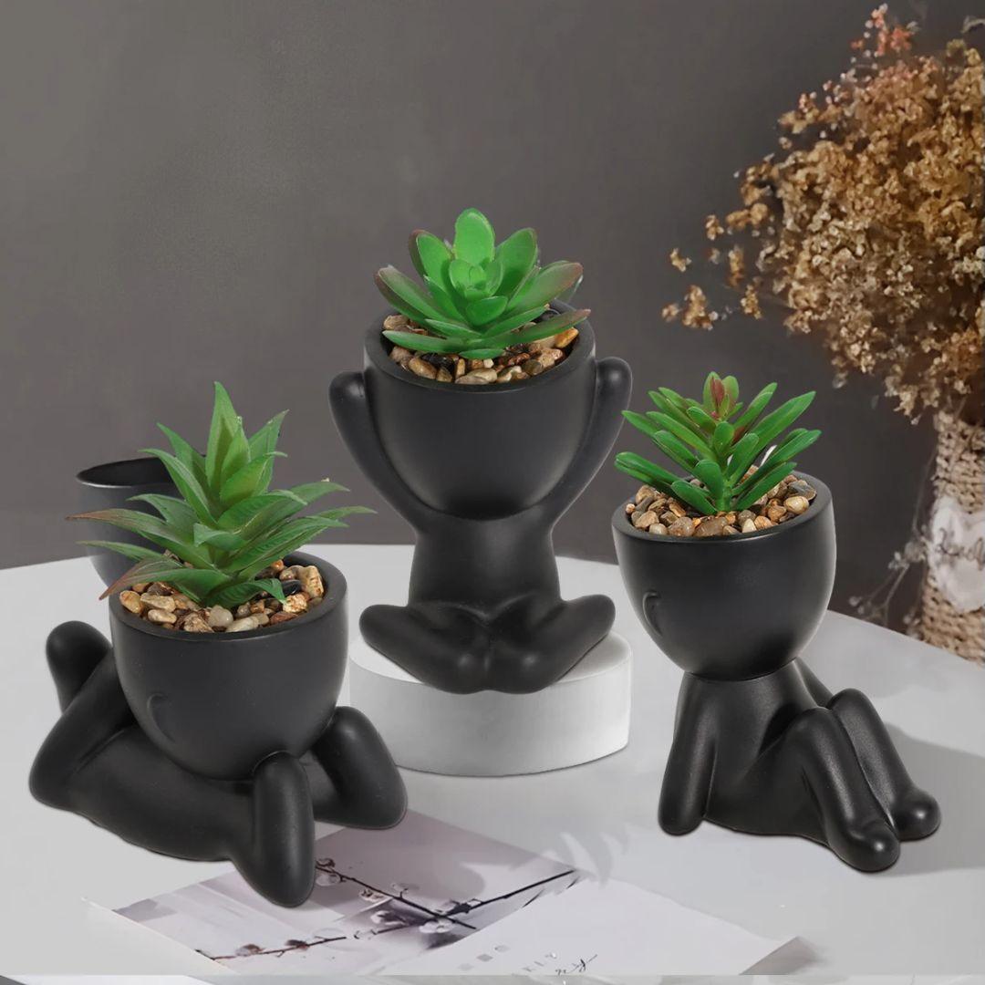 Small pot plants for living room