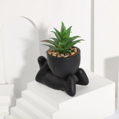 Small pot plants shape C