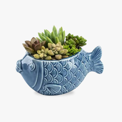 Succulent Pots - Unique Ocean-Inspired Fish, Snail, and Starfish Shaped Planters for Small Cactus and Flowers