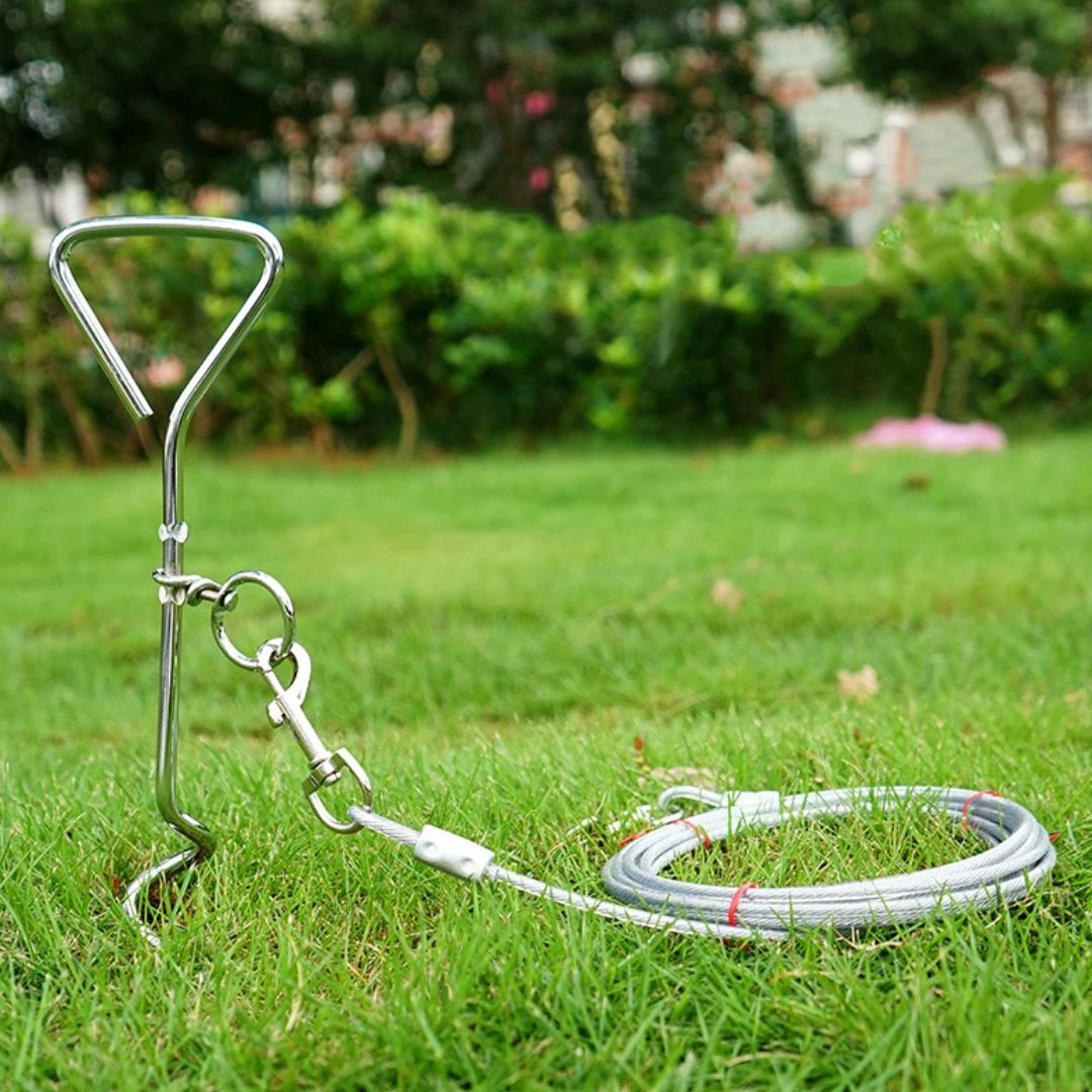 Dog Tie Out Stake and Cable – Anchor & Chain for Secure Ground Tethering