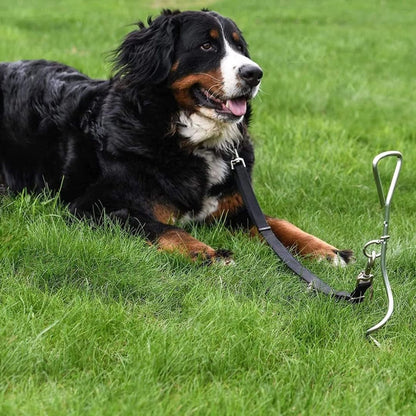 Dog Tie Out Stake and Cable – Anchor & Chain for Secure Ground Tethering