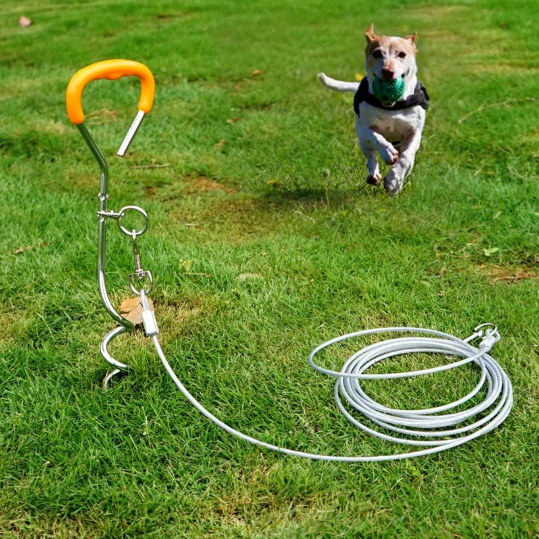 Dog Tie Out Stake and Cable – Anchor & Chain for Secure Ground Tethering