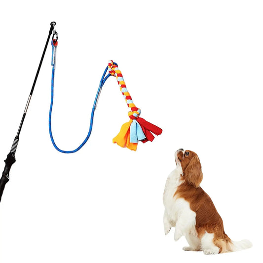 Interactive Outdoor Tether Tug Toy for All Dogs