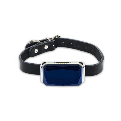 GPS Wireless Dog Fence System